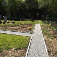 the idea of using unusual garden paths in landscaping picture