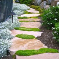 the idea of using bright garden paths in the design of the yard photo