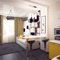 variante de studio lumineux 20 m² photo