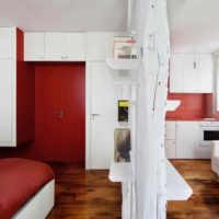 l'idée d'un beau studio de style 20 m² photo