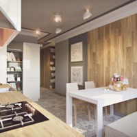 projet d'appartement d'une pièce design 45 m²