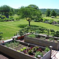 garden with garden beds design ideas