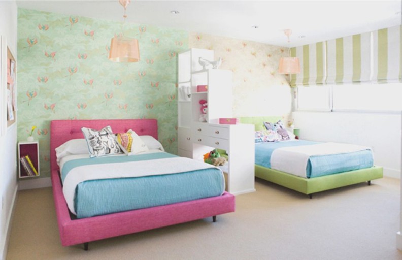 photo de l'intérieur de la pépinière