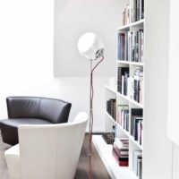 idea of unusual decor of shelves picture