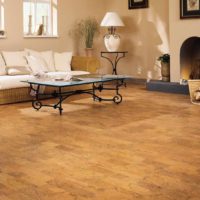 idea of ​​using cork in a room decor picture