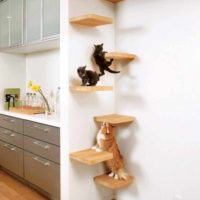 idea of unusual design shelves picture