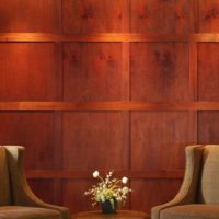 Wall paneling with wood paneling
