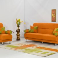 Meubles rembourrés avec revêtement en tissu orange
