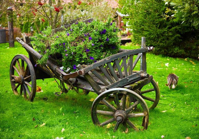 Old cart in the decoration of the garden