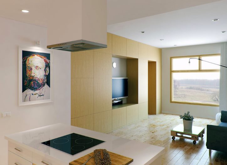 Conception d'une salle combinée à odnushka