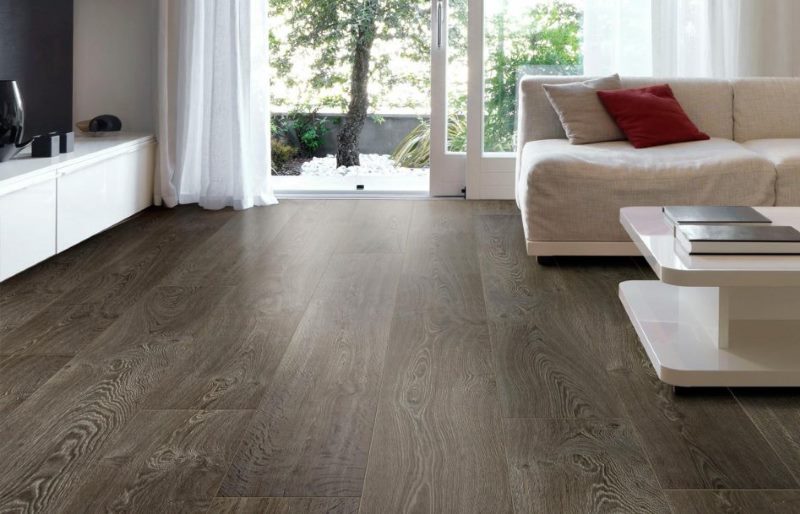 Dark linoleum prod tree on the floor of the hall of a private house