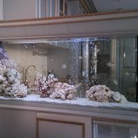 Aquarium in the classic interior of a city apartment