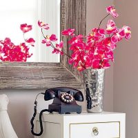 Téléphone rare à l'intérieur de la maison