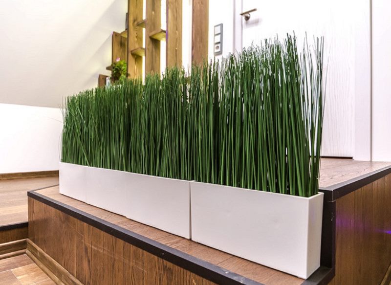 Plantes synthétiques vertes dans un récipient blanc