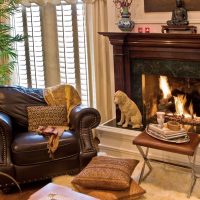 Fauteuil marron avec revêtement en cuir