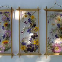 Trois peintures de plantes sèches