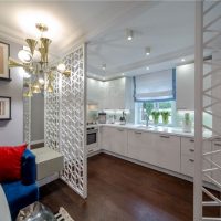 light partition between the kitchen and the living room